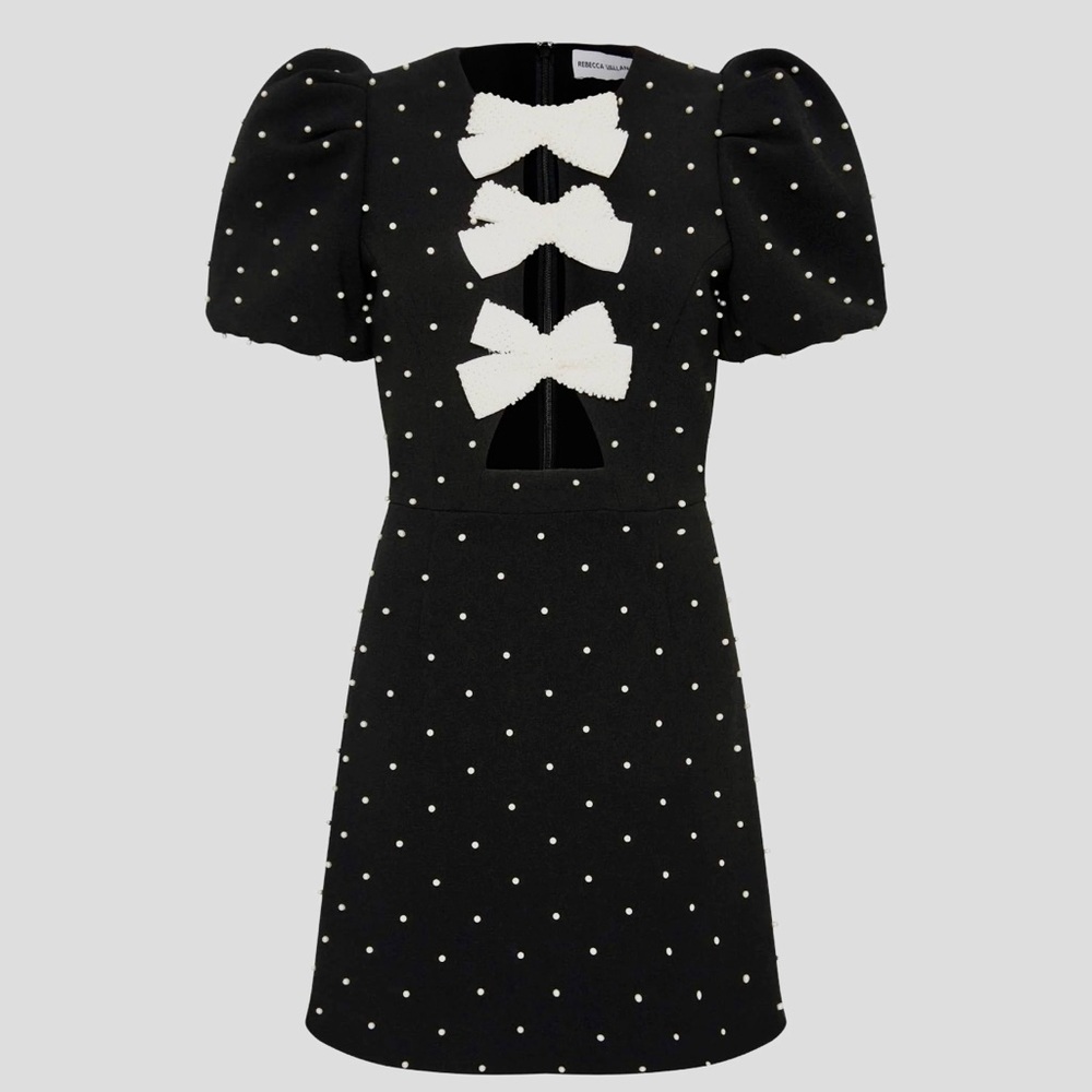 Rebecca Vallance Modern, Romantic, elegant and Sexy Beautiful Dress Size 6 S/M